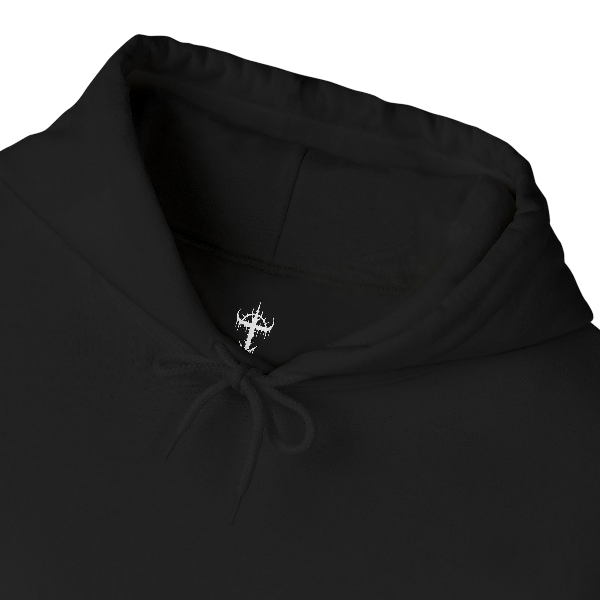 LOST SAINTS HOODIE